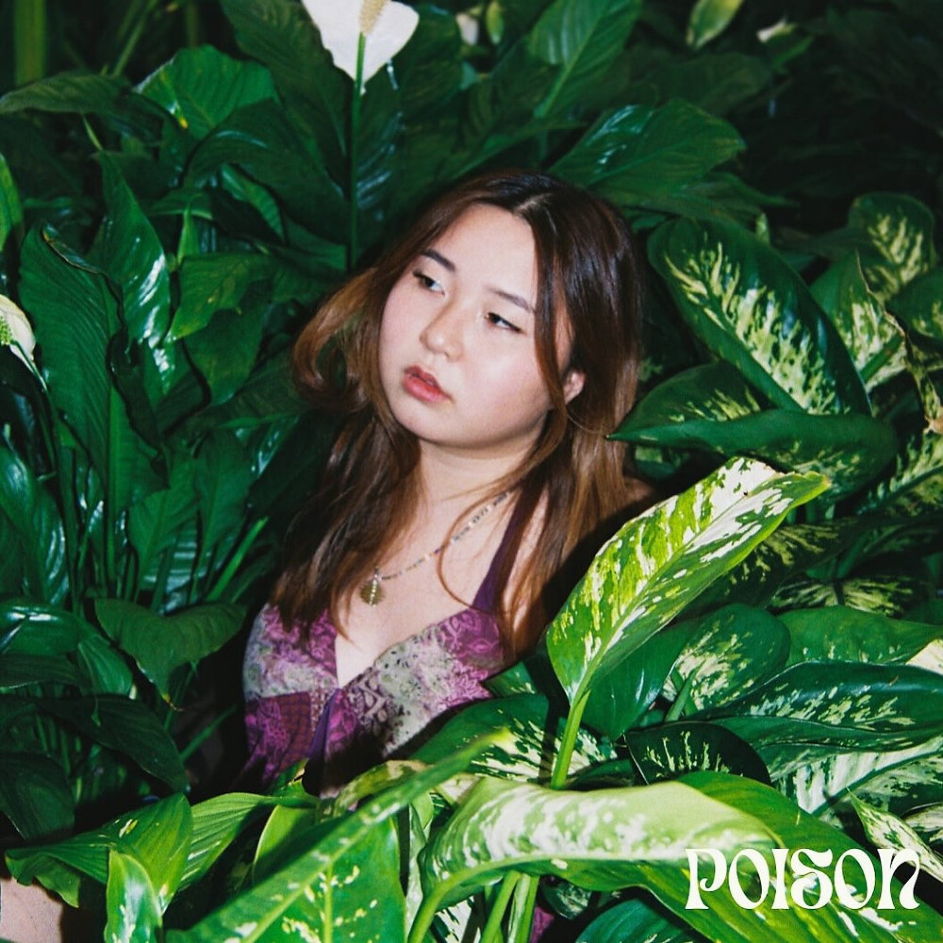 Ulasan: “Poison” – Maya Salafia Ulasan: “Poison” – Maya Salafia