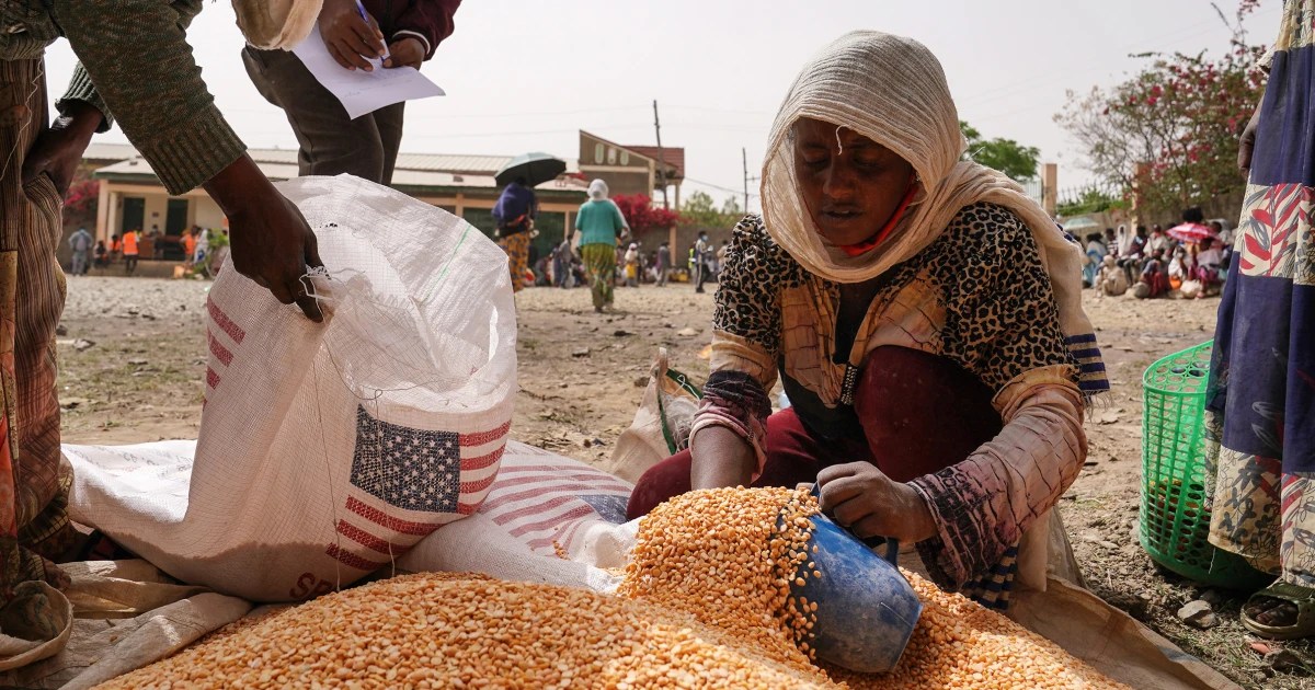 USAID cuts could lead to 14 million deaths over the next five years, researchers say – FameReddir USAID cuts could lead to 14 million deaths over the next five years, researchers say – FameReddir