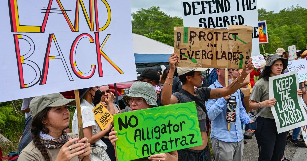Protesters line highway in Florida Everglades to oppose ‘Alligator Alcatraz’ – FameReddir Protesters line highway in Florida Everglades to oppose ‘Alligator Alcatraz’ – FameReddir
