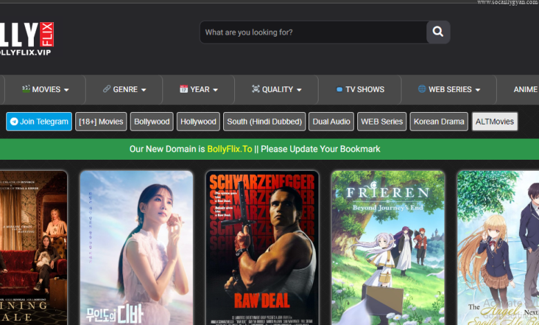 Bollyflix New Download Free HD Hollywood & Bollywood Movies – FameReddir