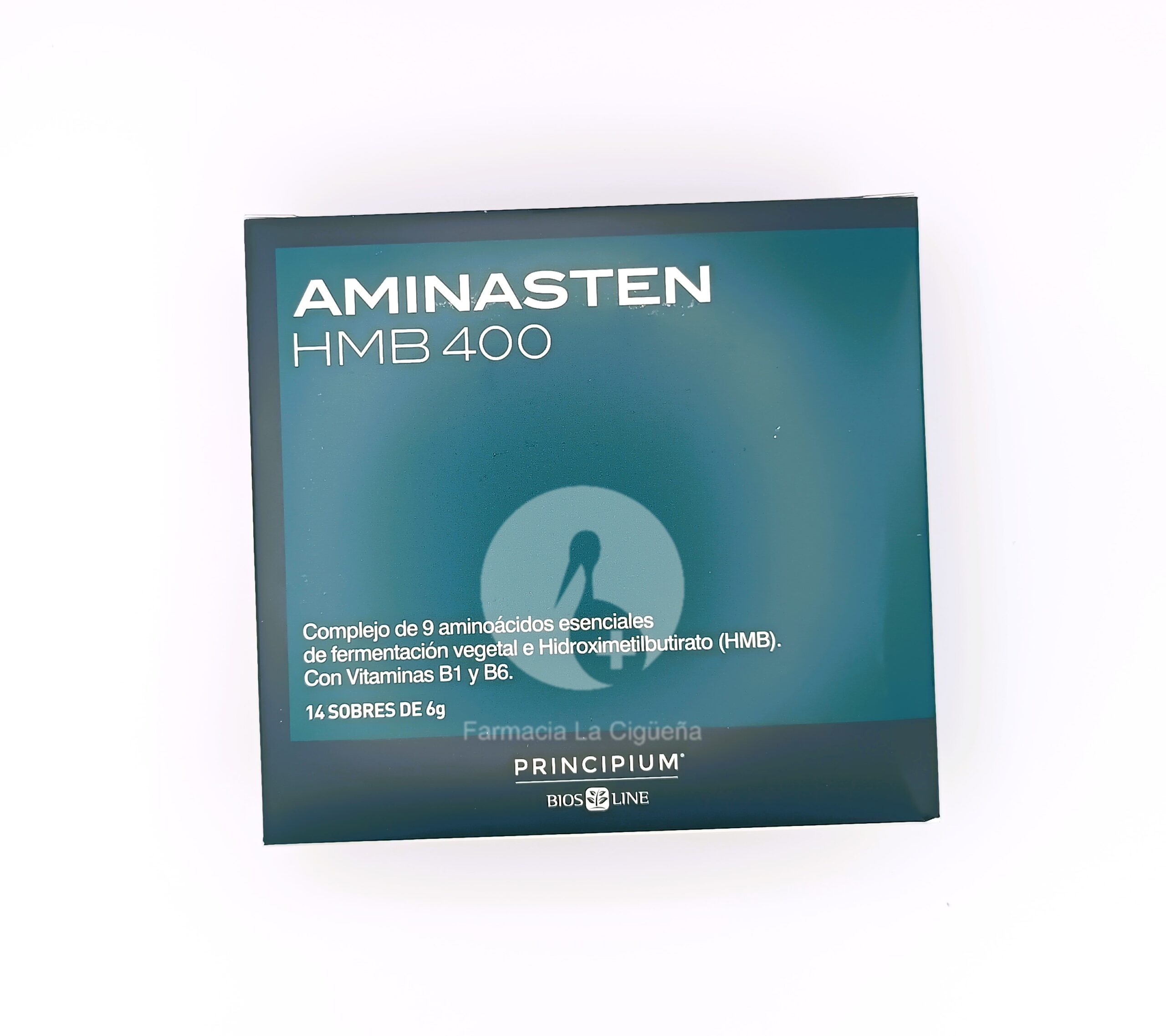 AMINASTEN HMB 400 PRINCIPIUM 14 14 SOBRES 6 G