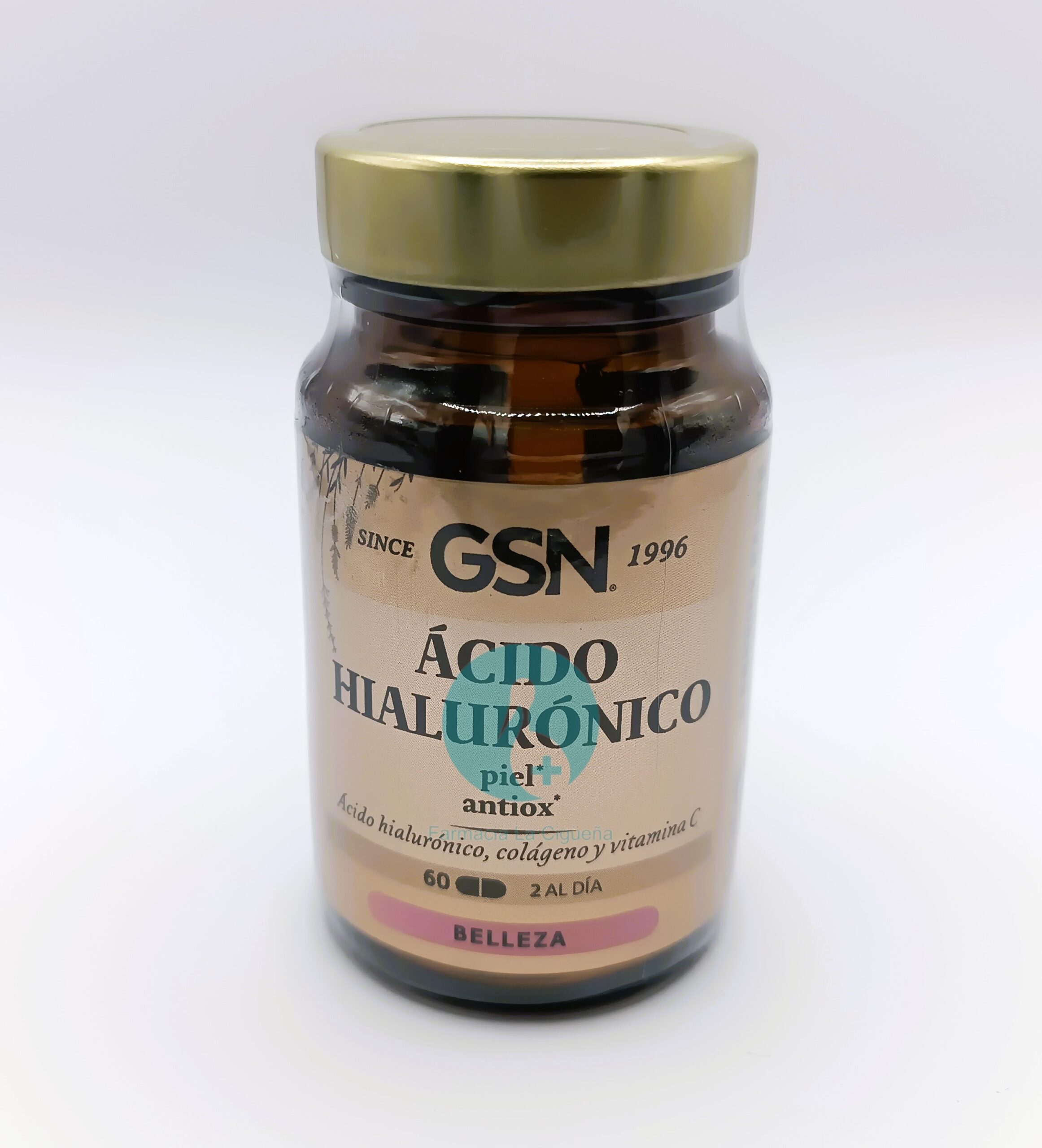 ACIDO HIALURONICO 60 COMPRIMIDOS GSN