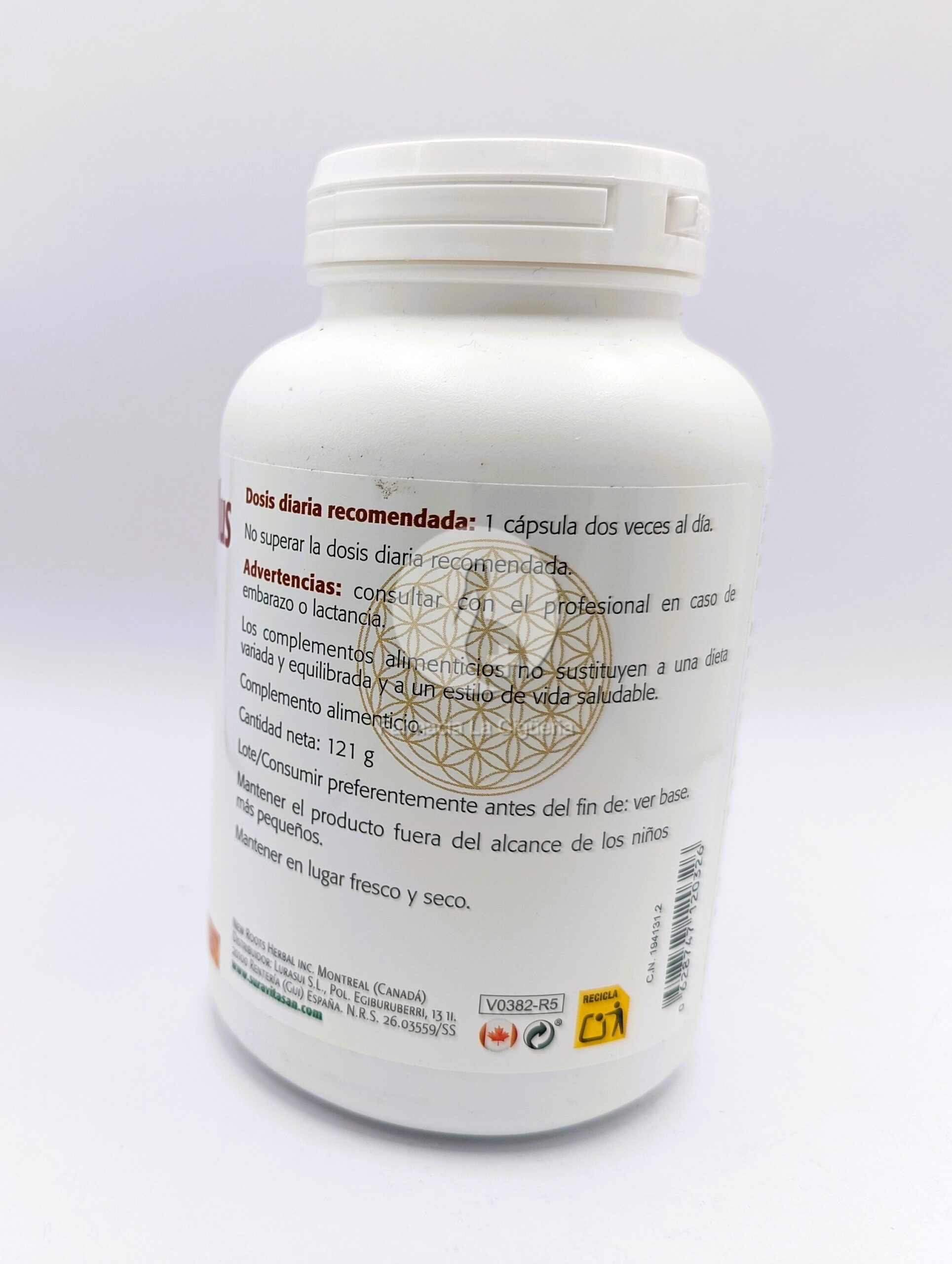 MAGNESIO BISGLICINATO PLUS 120 CAPSULAS
