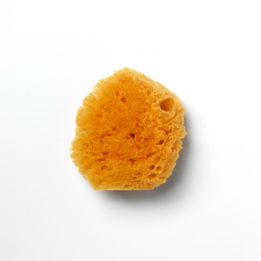 ESPONJA INFANTIL NATURAL APOSAN