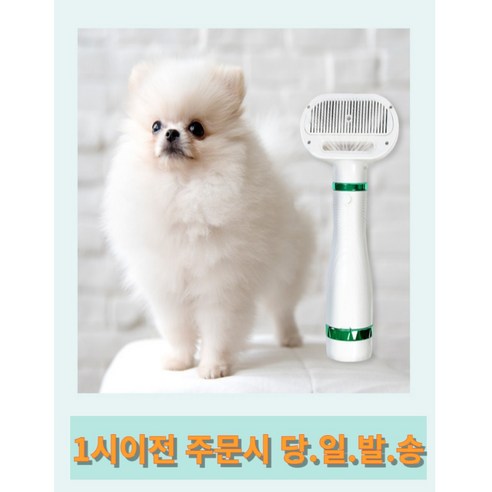 추천상품 주인샵 2in1 저소음 펫 브러쉬드라이기 추천상품 주인샵 2in1 저소음 펫 브러쉬드라이기