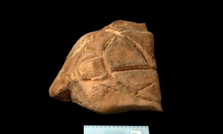 Carved cave turtle may have been worshiped 35,000 years before Christianity Carved cave turtle may have been worshiped 35,000 years before Christianity