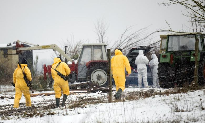Germany bans animal transport after foot-and-mouth disease discovered Germany bans animal transport after foot-and-mouth disease discovered