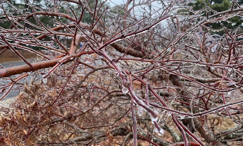 No snow in Fayetteville, but driving conditions could be hazardous Saturday morning No snow in Fayetteville, but driving conditions could be hazardous Saturday morning