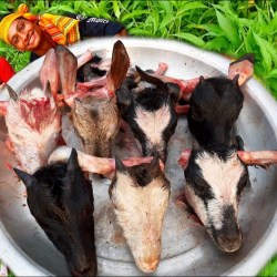 Resep Kepala Kambing: Sajian Lezat dengan Tradisi dan Manfaat Resep Kepala Kambing: Sajian Lezat dengan Tradisi dan Manfaat