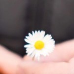 Introduction to lovingkindness meditation – Wildmind Introduction to lovingkindness meditation – Wildmind