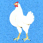 The End of Chicken-Breast Dominance The End of Chicken-Breast Dominance