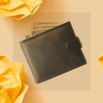 The Myth of the Poverty Trap The Myth of the Poverty Trap