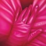 The Mainstreaming of Literary Kink The Mainstreaming of Literary Kink