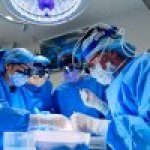 Pig kidney transplant fails after patient rejection Pig kidney transplant fails after patient rejection