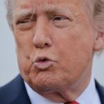 Transcript: Trump Fury at Bad Polls Erupts as Allies Rush to Calm Him Transcript: Trump Fury at Bad Polls Erupts as Allies Rush to Calm Him