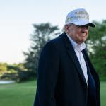 Trump’s Shady Crypto Partners Revealed in Damning New Report Trump’s Shady Crypto Partners Revealed in Damning New Report
