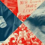 Federal Judge Deems Trump Administration’s Termination of NIH Grants Illegal Federal Judge Deems Trump Administration’s Termination of NIH Grants Illegal