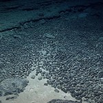 There’s no rulebook for deep sea mining. Companies want to push forward anyway There’s no rulebook for deep sea mining. Companies want to push forward anyway