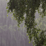 LGUs suspend classes on July 7 due to inclement weather | FROUSA Media LGUs suspend classes on July 7 due to inclement weather | FROUSA Media