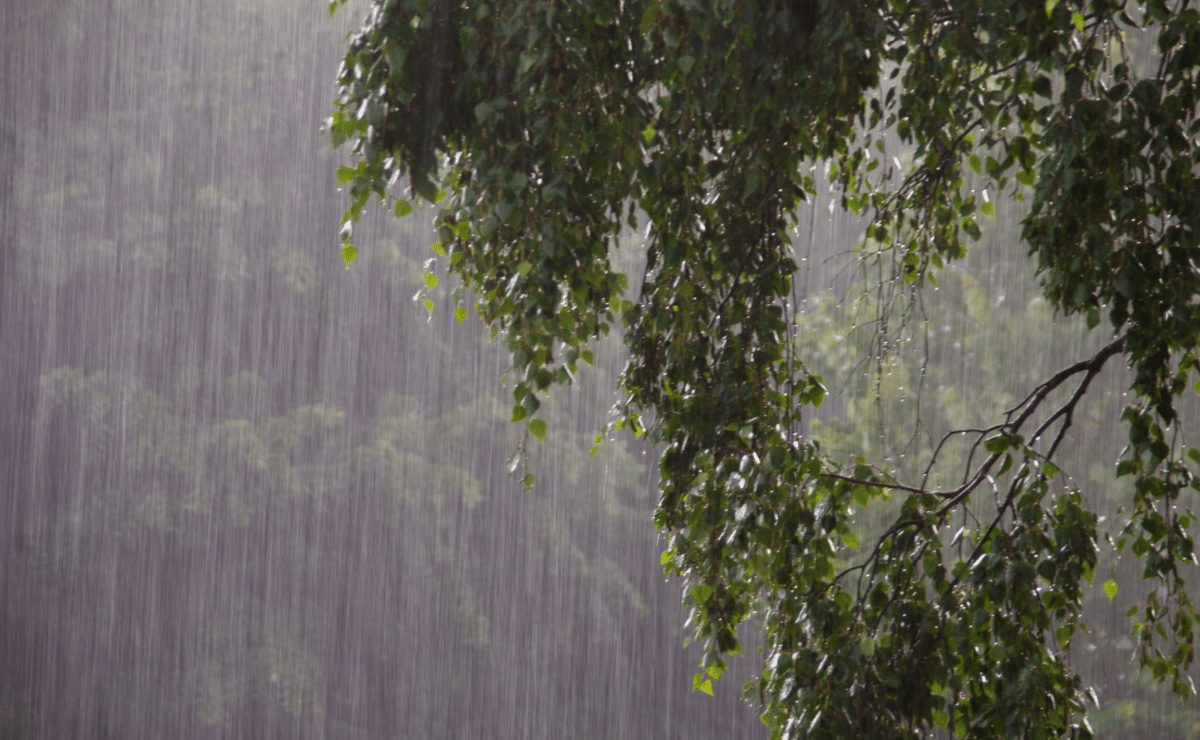 LGUs suspend classes on July 7 due to inclement weather | FROUSA Media | FROUSA Media LGUs suspend classes on July 7 due to inclement weather | FROUSA Media | FROUSA Media