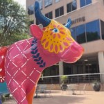 This art will mooove you: CowParade 2025 is in San Antonio This art will mooove you: CowParade 2025 is in San Antonio
