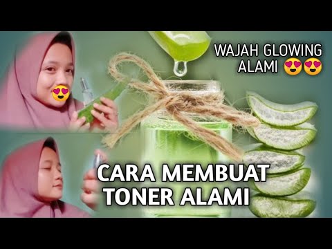 Cara Membuat Toner Alami Dari Lidah Buaya Cara Membuat Toner Alami Dari Lidah Buaya