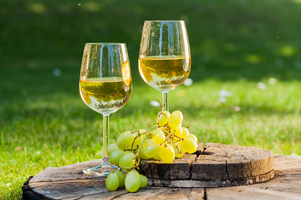 Sauvignon Blanc Guide: Taste, Food Pairings, Calories, and Serving Tips Sauvignon Blanc Guide: Taste, Food Pairings, Calories, and Serving Tips