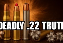 The Truth About .22 Ammo Nobody Explains Clearly The Truth About .22 Ammo Nobody Explains Clearly