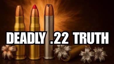 The Truth About .22 Ammo Nobody Explains Clearly The Truth About .22 Ammo Nobody Explains Clearly