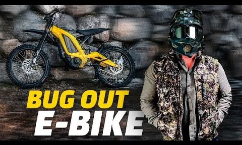 2024 Surron Lite Bee 2024 Surron Lite Bee