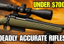 5 Budget-Hunting Rifles Under 700 That Are Deadly Accurate! 5 Budget-Hunting Rifles Under 700 That Are Deadly Accurate!