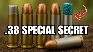 The Surprising Truth About .38 Special Performance That Experts Never Mention The Surprising Truth About .38 Special Performance That Experts Never Mention
