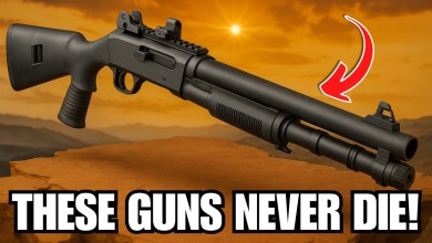 8 Guns That Will Last 100+ Years (Even After SHTF!) 8 Guns That Will Last 100+ Years (Even After SHTF!)