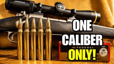 7 Hunting Calibers That Make Sense If You Only Own One Rifle 7 Hunting Calibers That Make Sense If You Only Own One Rifle