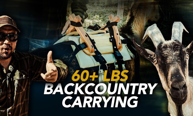 Goat Homestead walk-around, I knew better and Goat Homestead walk-around, I knew better and