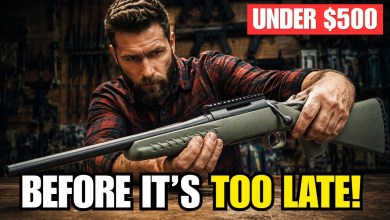 The 0 Rifles Americans Are Grabbing Before 2026 Gets Worse The 0 Rifles Americans Are Grabbing Before 2026 Gets Worse