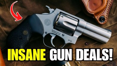 5 CHEAP GUNS EVERYONE IGNORES (But These 3 Guns Are Absolute Goldmines) 5 CHEAP GUNS EVERYONE IGNORES (But These 3 Guns Are Absolute Goldmines)