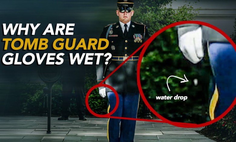 Reacts | Tomb Guard Reacts to Changing of the Guards at Tomb of the Unknown Soldiers Reacts | Tomb Guard Reacts to Changing of the Guards at Tomb of the Unknown Soldiers