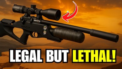 These 9 Air Rifles Can Take Down Hogs, Intruders, And Everything In Between These 9 Air Rifles Can Take Down Hogs, Intruders, And Everything In Between