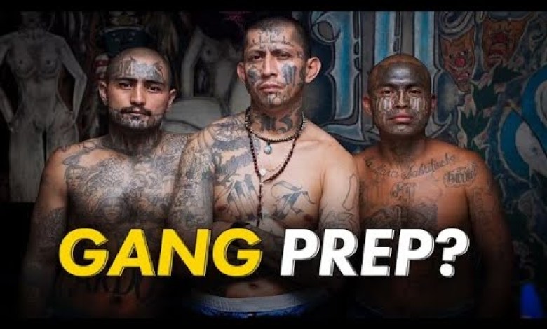 Gang Starter Set | Tribes will SURVIVE! Gang Starter Set | Tribes will SURVIVE!