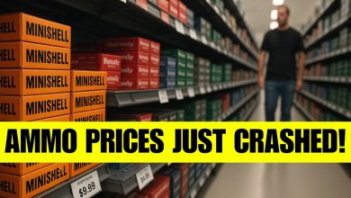 Ammo Prices CRASHED! 10 Calibers Smart Gun Owners Are Stockpiling Now Ammo Prices CRASHED! 10 Calibers Smart Gun Owners Are Stockpiling Now