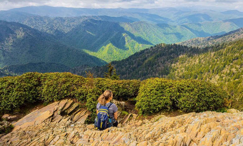 Most Popular National Park Reduces Camping as Trump Defies Court Orders Most Popular National Park Reduces Camping as Trump Defies Court Orders