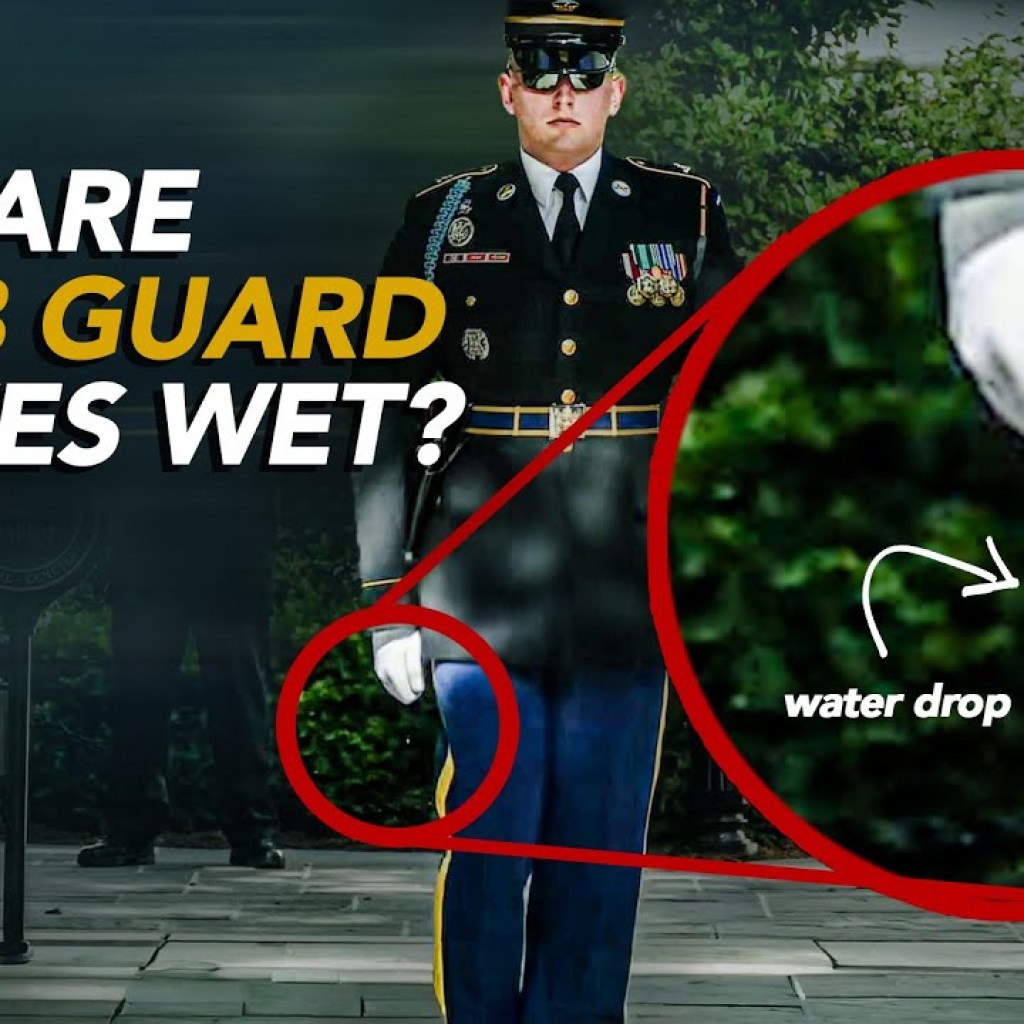 Reacts | Tomb Guard Reacts to Changing of the Guards at Tomb of the Unknown Soldiers Reacts | Tomb Guard Reacts to Changing of the Guards at Tomb of the Unknown Soldiers