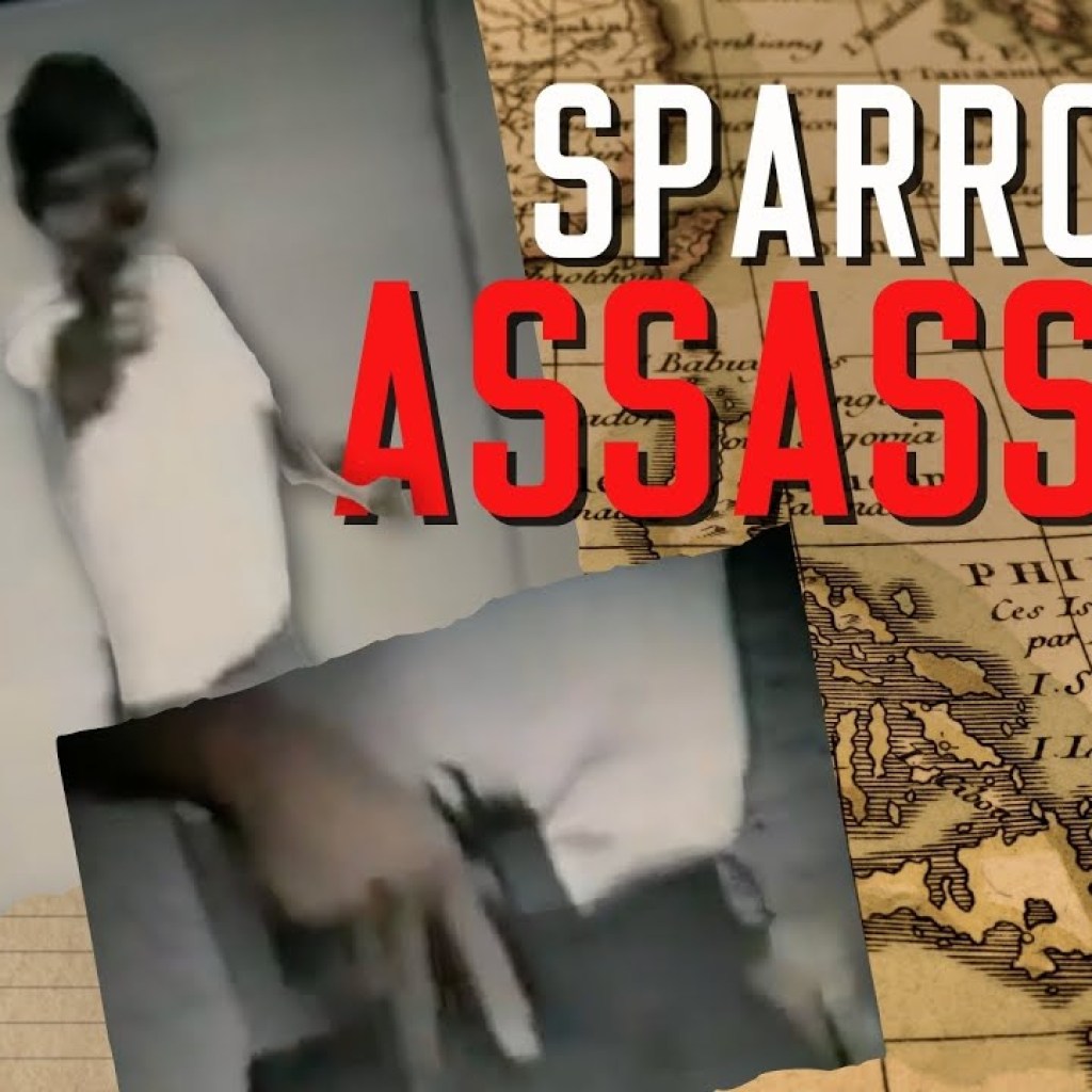 Encountering Sparrow Assassins Encountering Sparrow Assassins