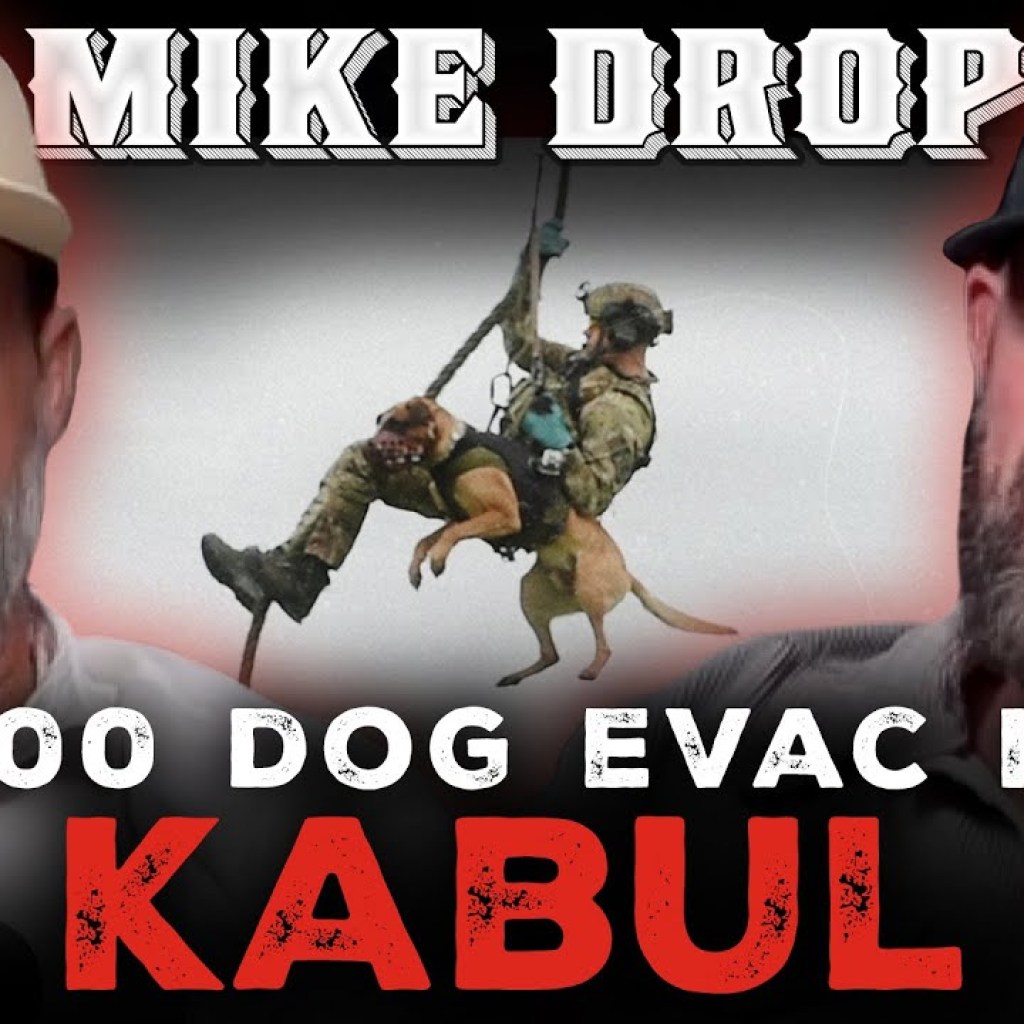 Zach Skow’s Unbelievable Battle to Evac 300 Dogs from Afghanistan | Ep. 259 Zach Skow’s Unbelievable Battle to Evac 300 Dogs from Afghanistan | Ep. 259