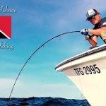 【MV】TARPON FISHING in Trinidad and Tobago 【MV】TARPON FISHING in Trinidad and Tobago