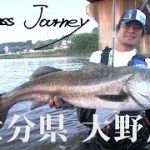 【Seabass Journey】初夏のトップゲームが熱い!水面炸裂!ド迫力のバイトシーン満載!! 【Seabass Journey】初夏のトップゲームが熱い!水面炸裂!ド迫力のバイトシーン満載!!