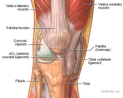 Arthritis And Its Effects On Bones And Joints Arthritis And Its Effects On Bones And Joints