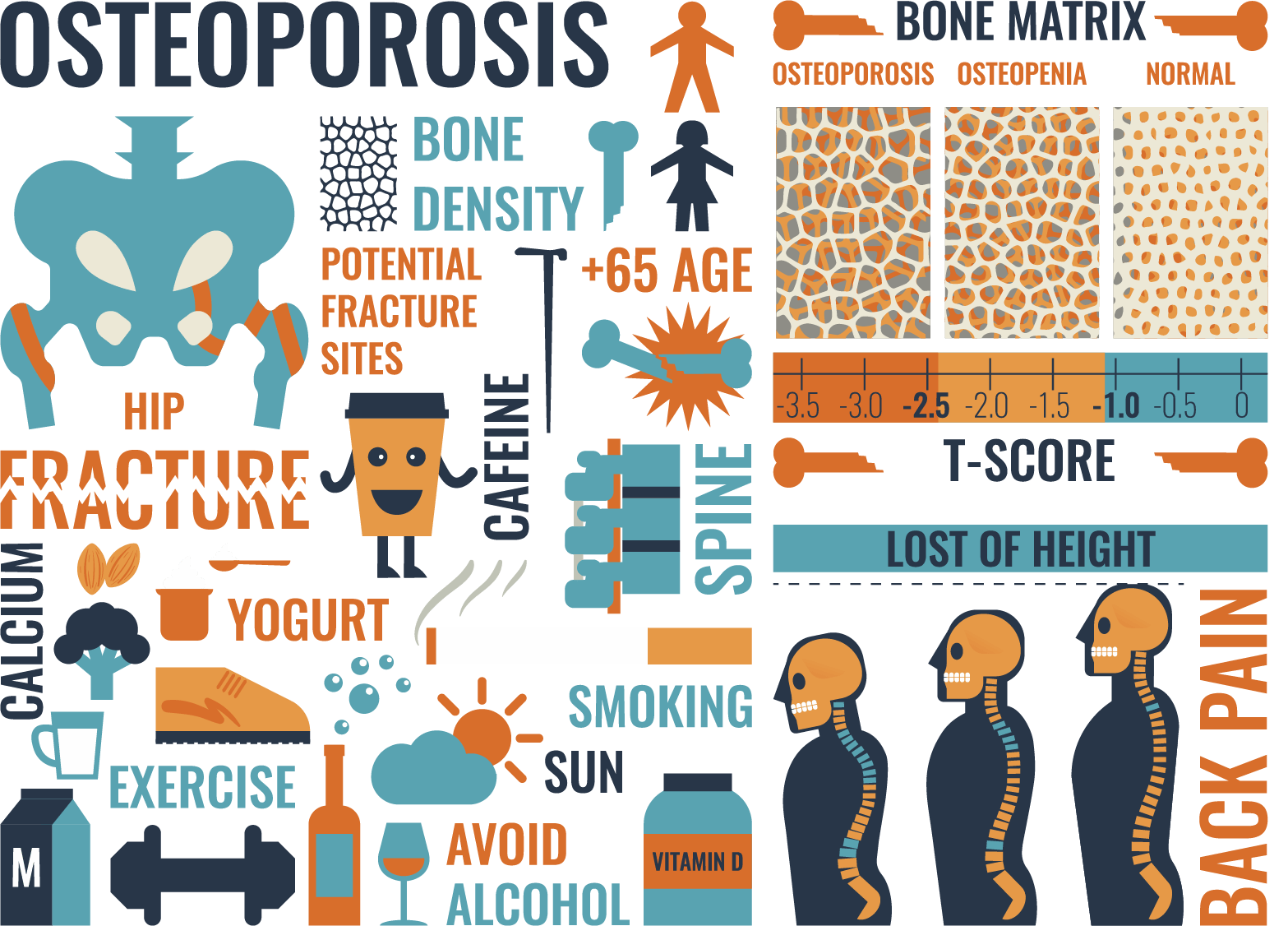 Signs And Symptoms Of Bone Density Loss Signs And Symptoms Of Bone Density Loss