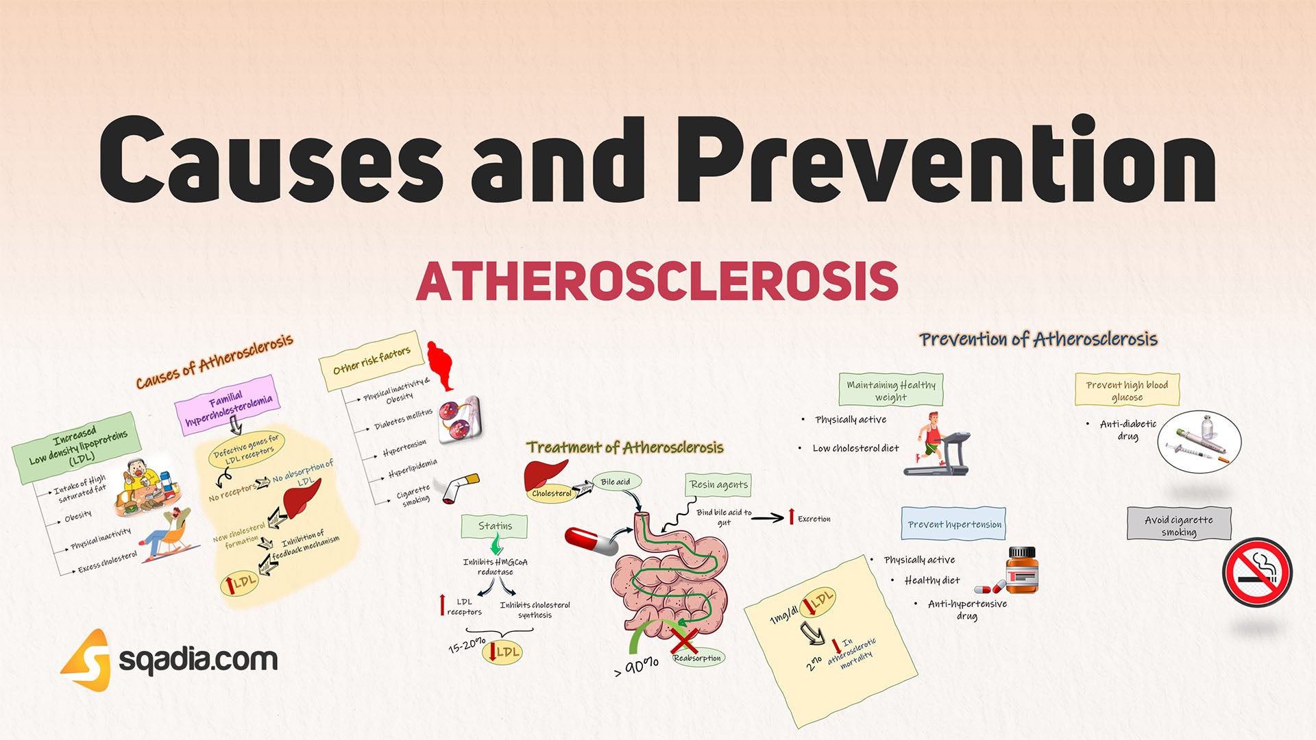 Atherosclerosis: Causes And Prevention Strategies Atherosclerosis: Causes And Prevention Strategies